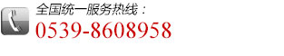 全國(guó)統(tǒng)一服務熱線:0539-8608958
